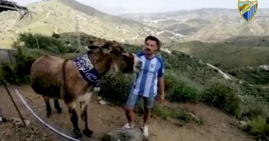 El reencuentro de un malaguista con su burra Baldomera que "ama al Málaga CF"