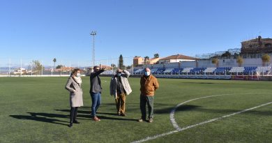La remodelación del estadio de El Pinar incluirá una nueva cubierta en la grada