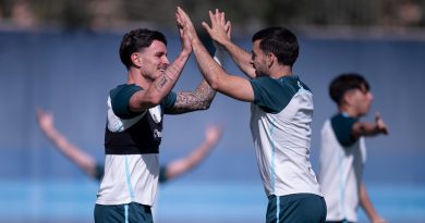 Se cae el centro del campo del Málaga: Ramón y Rafa sancionados