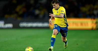 Cristian, el pollito que voló de Málaga para acabar haciendo 'pío-pío' en Gran Canaria