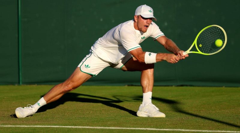 Davidovich se cae del US Open por problemas de espalda