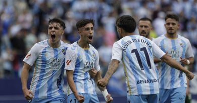 La Rosaleda da un respiro al Málaga más obrero