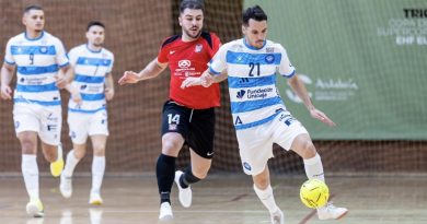 Las opciones de ascenso del Málaga Ciudad Redonda
