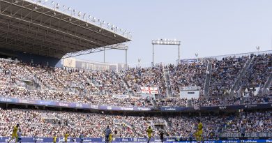 El Málaga acumula 26 denuncias por cánticos que incitan a la violencia en La Rosaleda