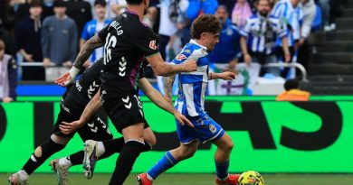 Los boquerones nadan y llegan a la orilla de Riazor