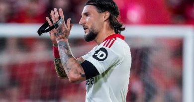 Los caminos de Gudelj y el Málaga CF se alejan