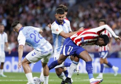 Las notas de Los Bichos en el Atlético de Madrid - Málaga CF