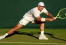 Davidovich se cae del US Open por problemas de espalda