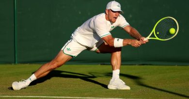 Davidovich se cae del US Open por problemas de espalda